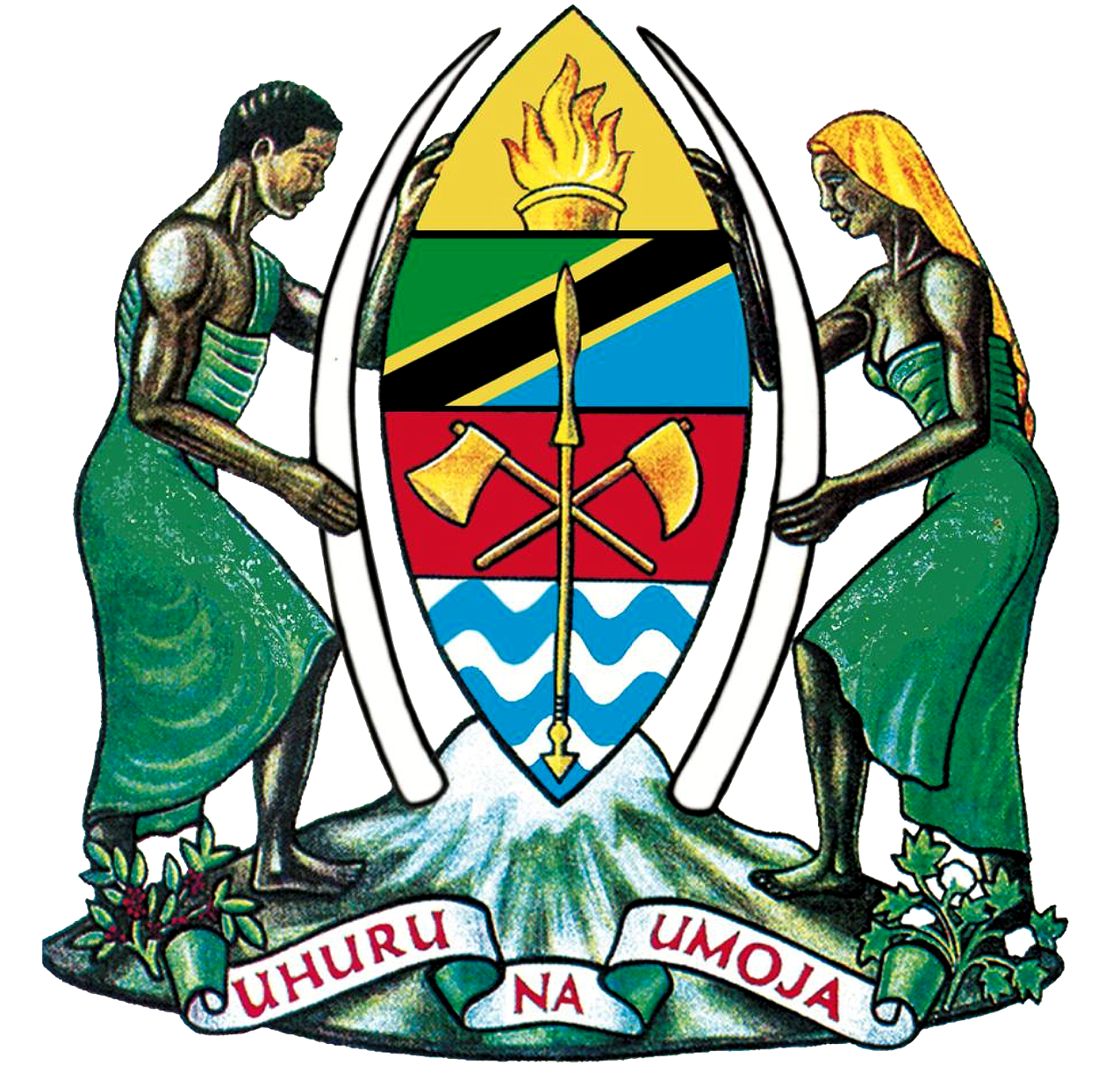 Government Logo